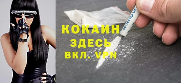 мет Ладушкин