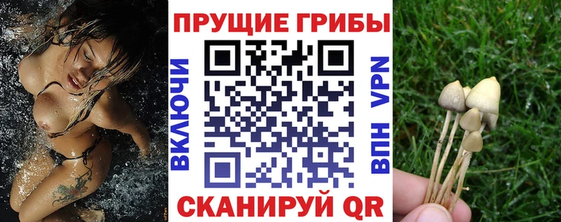 наркота  Урай  МЕГА ONION  Галлюциногенные грибы прущие грибы 