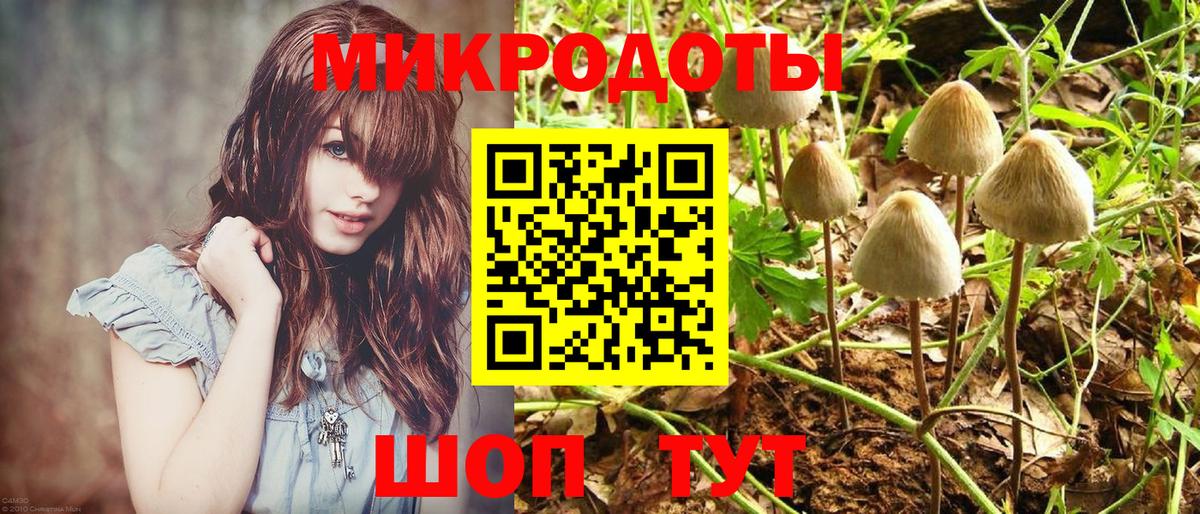 Урай  Псилоцибиновые грибы Cubensis  Вход с VPN 